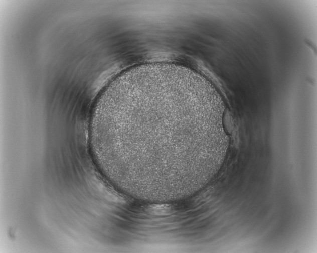 X0000101680059200807311528