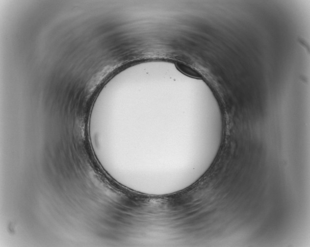 X0000101680060200807311528