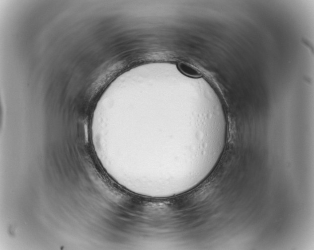 X0000101680061200807311528