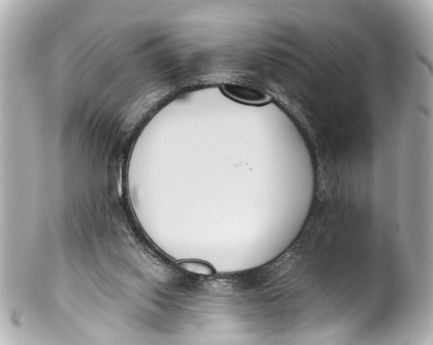 X0000101680062200807311528