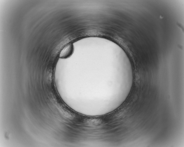 X0000101680063200807311528