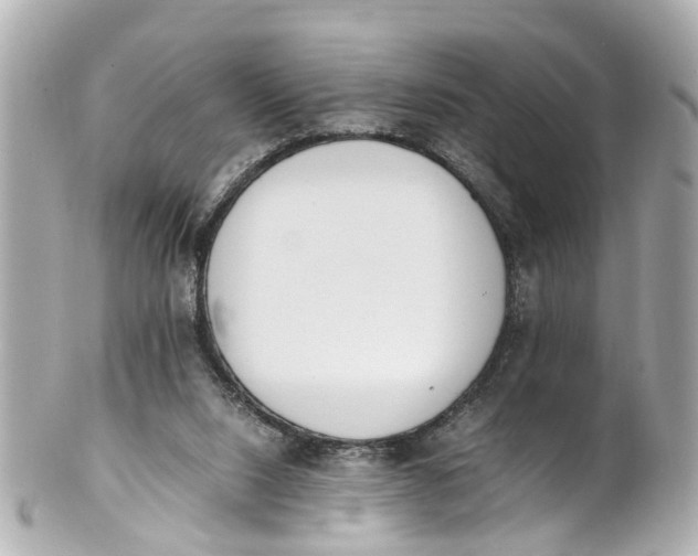 X0000101680064200807311528