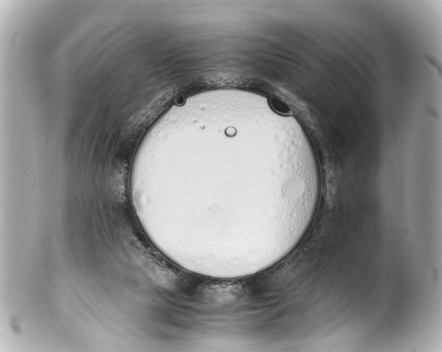 X0000101680065200807311528