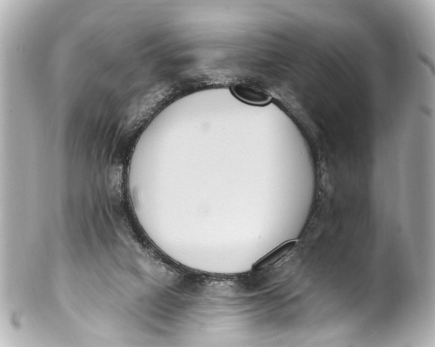 X0000101680066200807311528