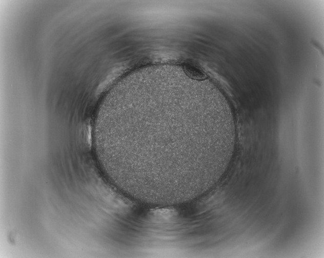 X0000101680067200807311528