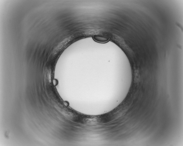 X0000101680068200807311528