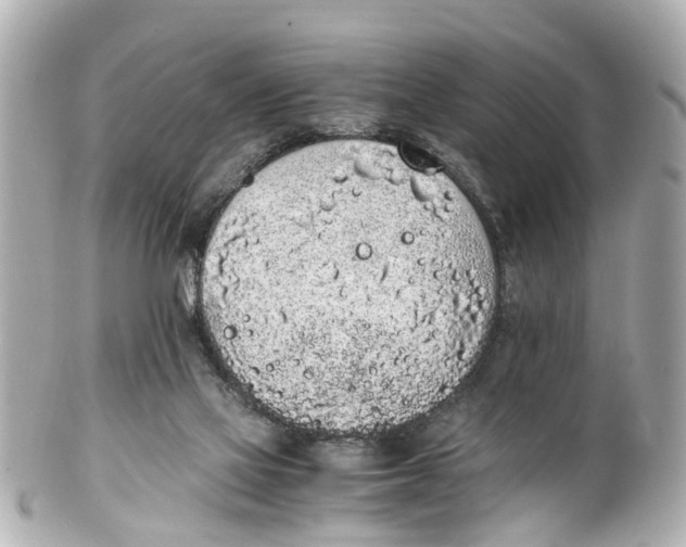 X0000101680069200807311528