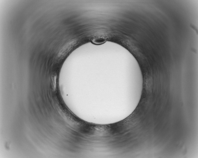 X0000101680070200807311528