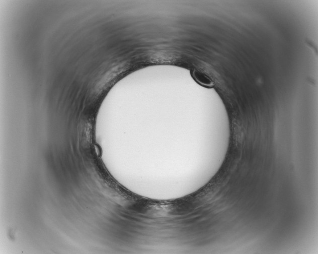 X0000101680071200807311528