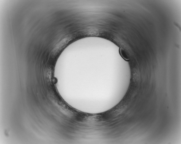 X0000101680072200807311528