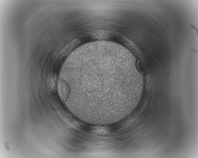 X0000101680073200807311528