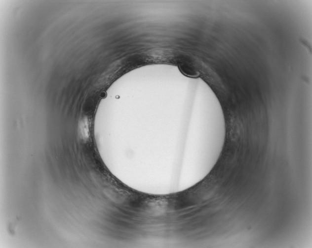 X0000101680075200807311528