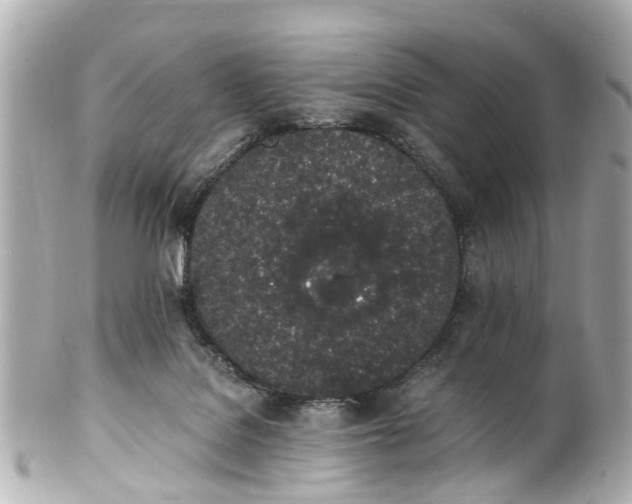 X0000101680076200807311528