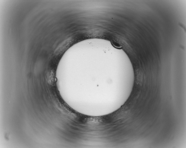 X0000101680077200807311528