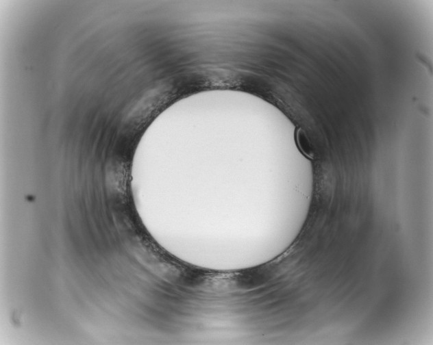 X0000101680078200807311528