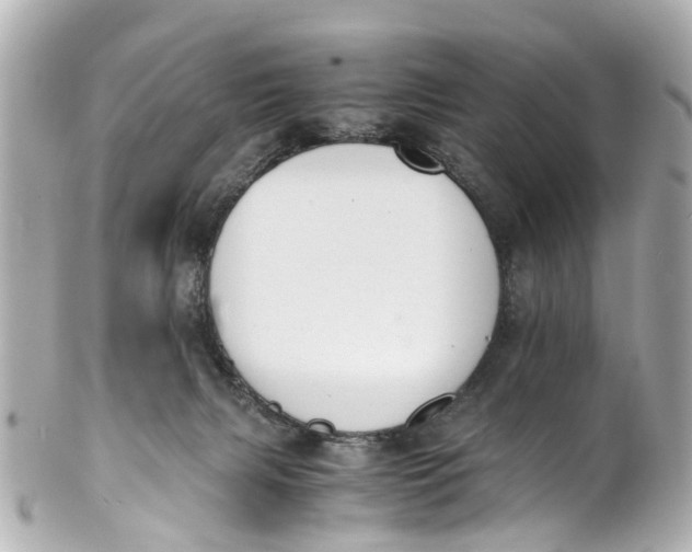 X0000101680079200807311528