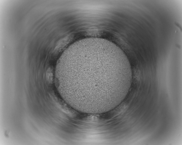 X0000101680080200807311528