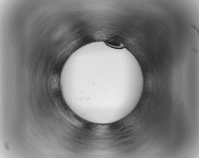 X0000101680081200807311528