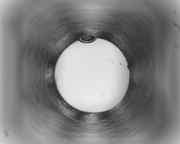 X0000101680082200807311528