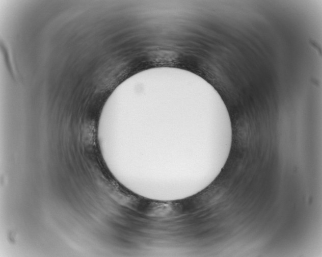 X0000101680083200807311528