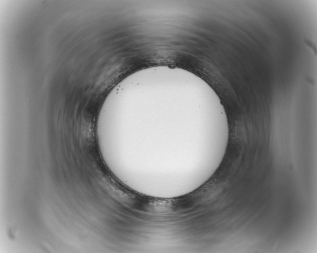 X0000101680084200807311528