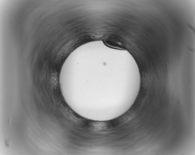 X0000101680085200807311528