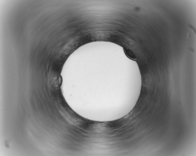 X0000101680086200807311528