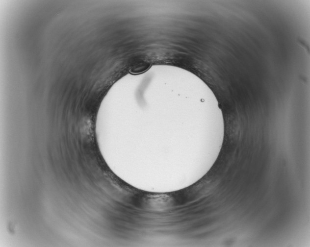 X0000101680087200807311528