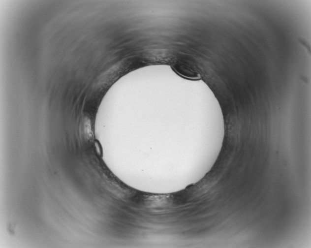 X0000101680089200807311528