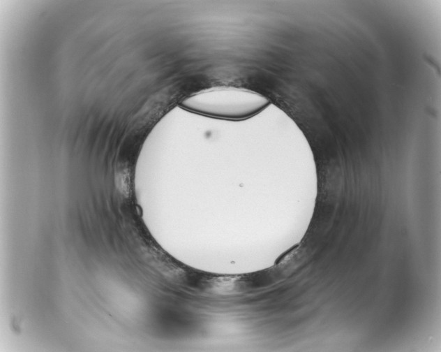 X0000101680090200807311528