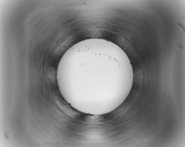 X0000101680092200807311529