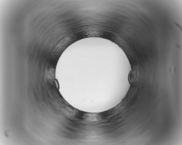 X0000101680093200807311529