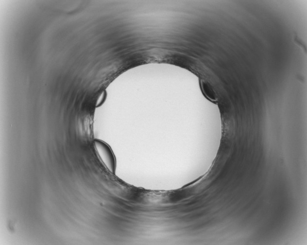 X0000101680094200807311529