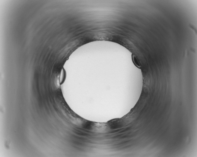 X0000101680095200807311529