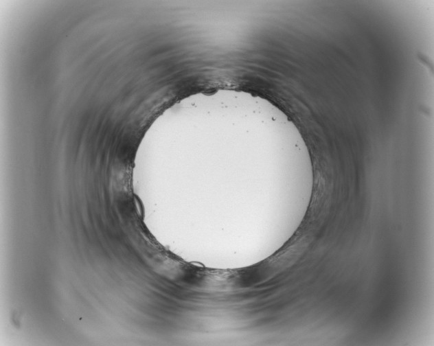 X0000101680096200807311529