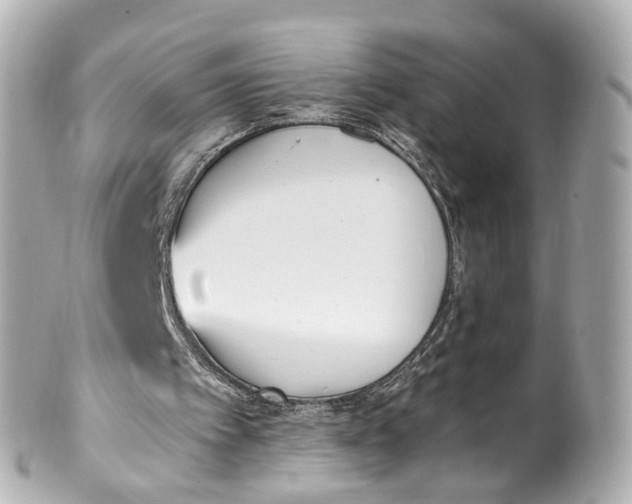 X0000101680097200807311528