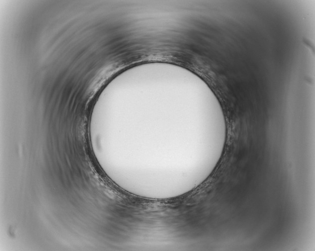 X0000101680098200807311528