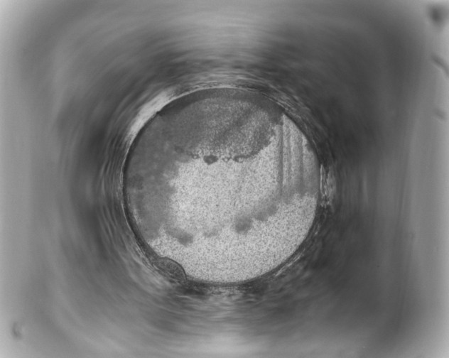 X0000101680099200807311528