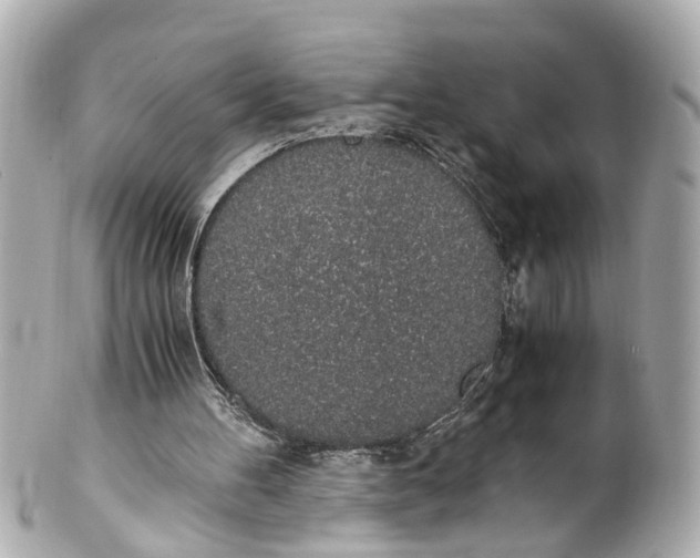 X0000101680100200807311528