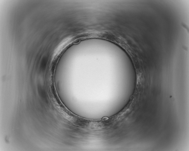 X0000101680101200807311528