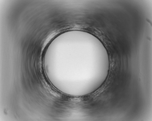 X0000101680102200807311528