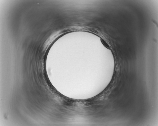 X0000101680103200807311528