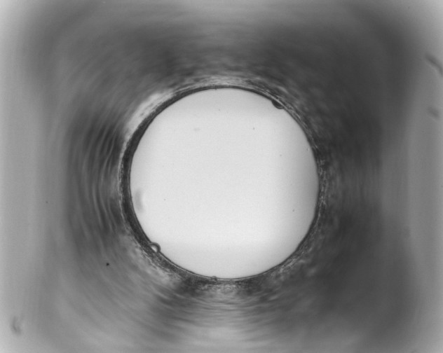 X0000101680104200807311528