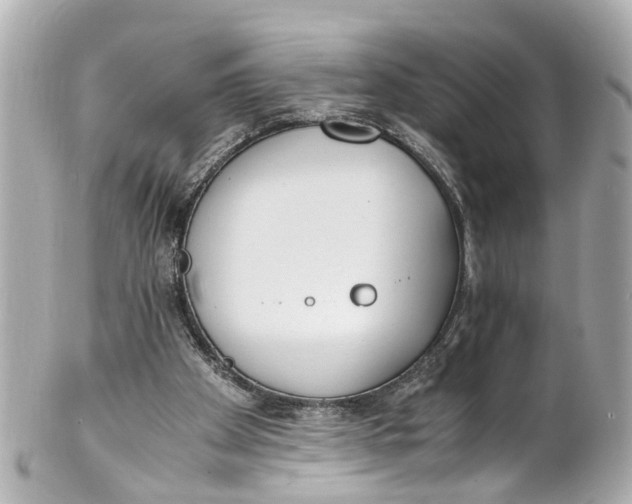 X0000101680105200807311528