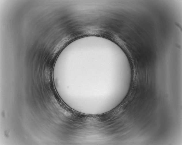 X0000101680106200807311528