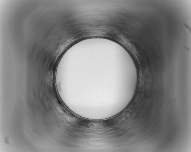 X0000101680107200807311528