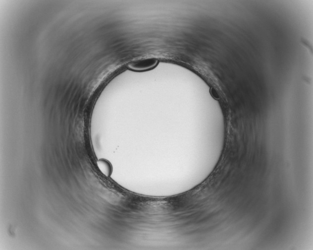 X0000101680108200807311528