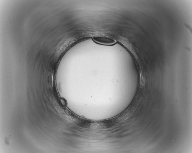 X0000101680109200807311528