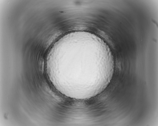 X0000101680110200807311528