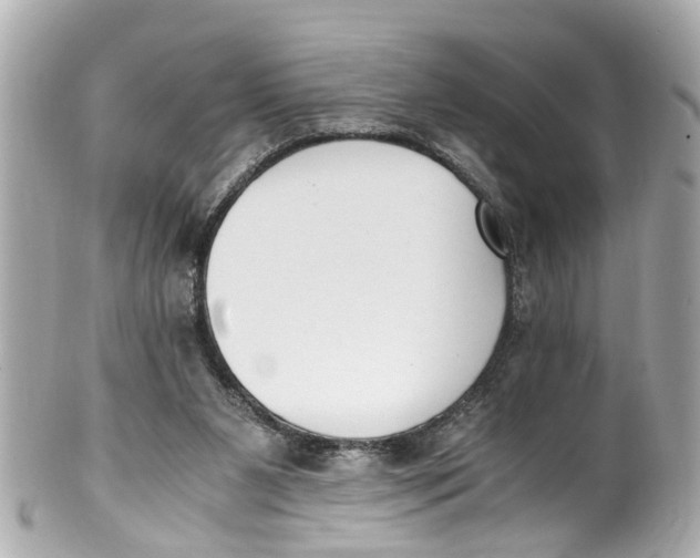 X0000101680111200807311528